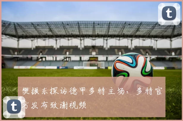 樊振东探访德甲多特主场，多特官方发布致谢视频