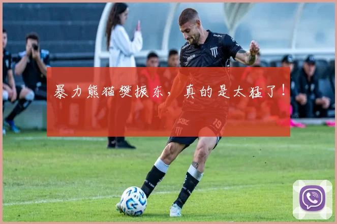 暴力熊猫樊振东，真的是太猛了！