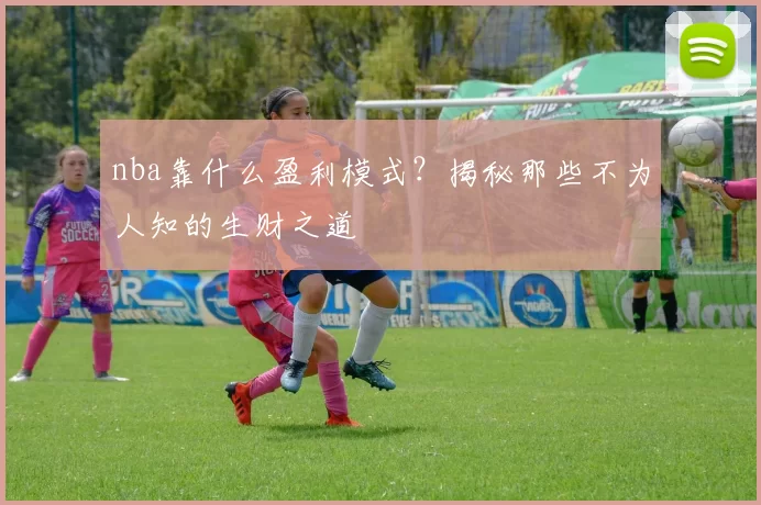 nba靠什么盈利模式？揭秘那些不为人知的生财之道
