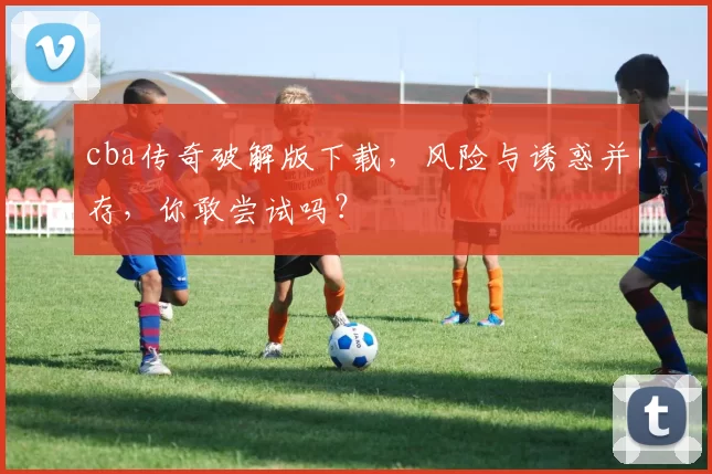 cba传奇破解版下载,风险与诱惑并存,你敢尝试吗?
