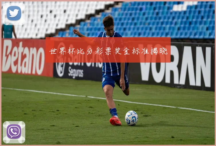 世界杯比分彩票奖金标准揭晓