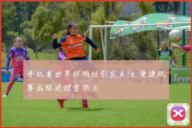 手机看世界杯网址引发关注 便捷观赛成球迷搜索热点